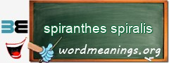 WordMeaning blackboard for spiranthes spiralis